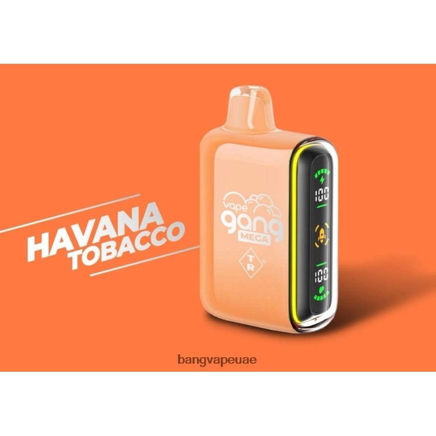 Vape Gang MEGA 20.000 نفخة من السجائر الإلكترونية (علبة بها 5 عبوات) التبغ هافانا - Bang Box Vape Price RLB6JT55