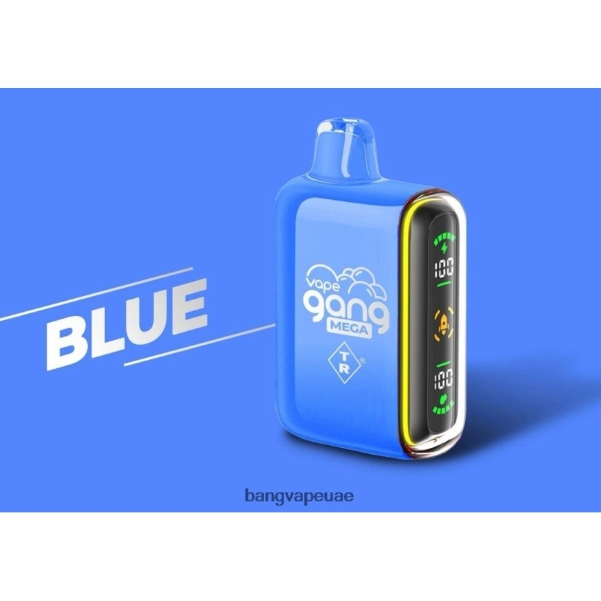 Vape Gang MEGA 20.000 نفخة من السجائر الإلكترونية (علبة بها 5 عبوات) أزرق - Vape Gang Disposables RLB6JT52