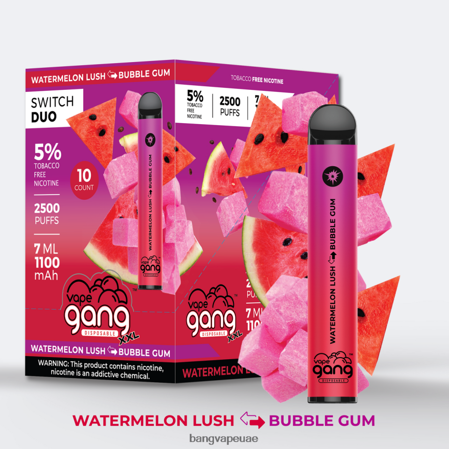 Vape Gang Switch Duo 2 نكهات (صندوق 10) البطيخ المورق - علكة الفقاعات - Vape Gang Uae RLB6JT49