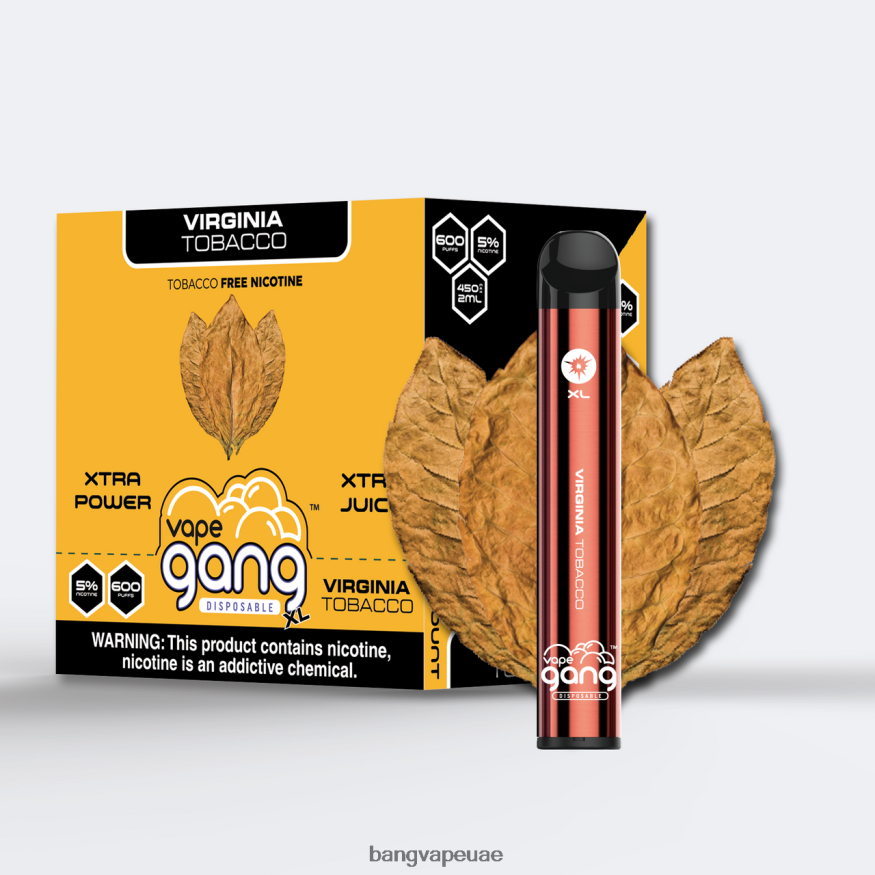 Vape Gang XL vapes المتاح 600 نفخة (علبة من 10) التبغ فرجينيا - Bang Vape Abu Dhabi RLB6JT70